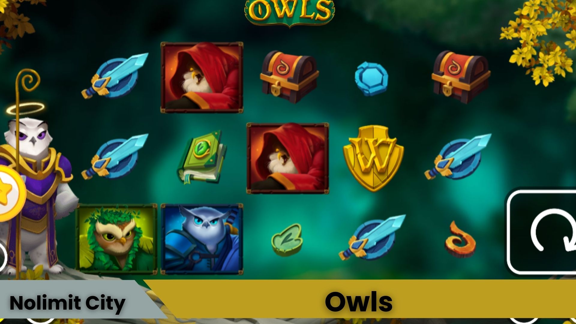 Owls Oyna
